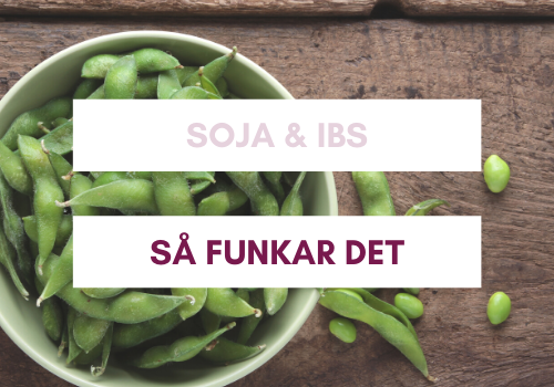 soja och ibs