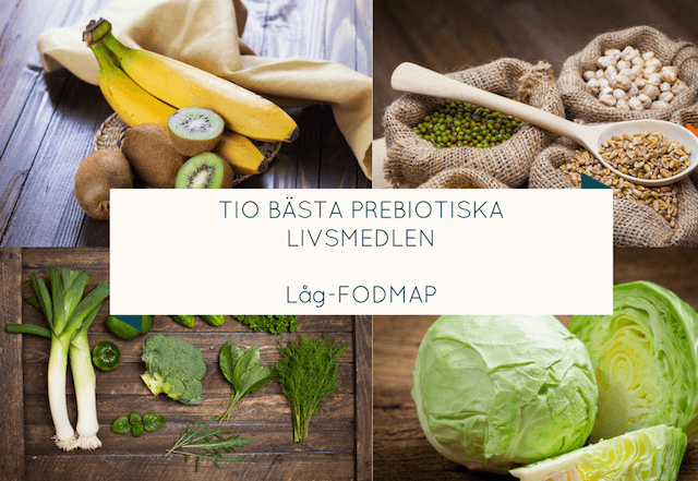 prebiotika
